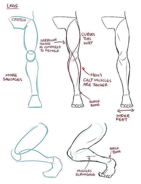 Leg Anatomy, Drawing Legs, Manga Tutorial, Human Figure Drawing, Anatomy Sketches, Anatomy Drawing, Poses References, Figure Drawing Reference, Guided Drawing