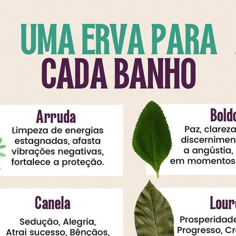 Magia Das Ervas, Green Witch, Healing Herbs, Glow Up?, Feng Shui, Ritual, Witch, Solar, Herbs