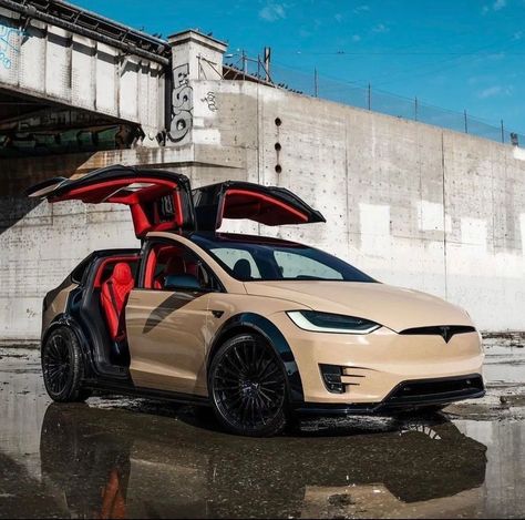 Starlight Headliner, Custom Tesla, Tesla Suv, Tesla Car Models, Dream Vehicles, Custom Wraps, Tesla Car, Car Goals, Custom Interior