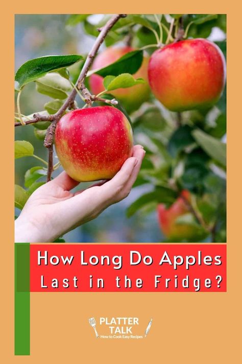 Knowing how long apples last in the fridge will help you make the best use of your apples from the store or fresh off the tree. Get tips to help you learn how to store apples in the pantry, how to store apples in the fridge, and how long apples last in the pantry as well. | how long do apples last | how to store apples in fridge | how to store apples food storage Easy Apple Recipes, How To Store Apples, Apples Recipes, Potato Bin, Freezing Apples, Homemade Apple Butter, Apple Types, Apple Recipes Easy, Apple Season