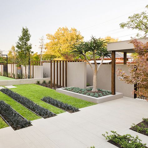 Esjay Landscapes - Caulfield Project Modern Front Yard, Front Garden Design, Minimalist Garden, Desain Lanskap, Front Yard Design, Front Yard Garden Design, Modern Landscape Design, Modern Garden Design, Minimalist Landscape