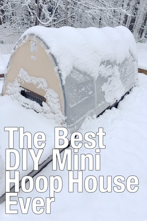 Retractable Hoop House, Diy Hoop House Raised Beds, Pvc Hoop House, Raised Bed Hoop House, Pvc Hoop House Diy, Hoop Houses Greenhouse, Mini Hoop House, Diy Hoop House Greenhouse, Garden Hoops Raised Beds Diy