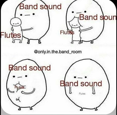 Band Kid Meme, Flute Memes Funny, Band Memes Funny So True, Band Kids Humor, Band Memes Funny, Flute Jokes, Flute Memes, Funny Band Jokes, Musician Memes