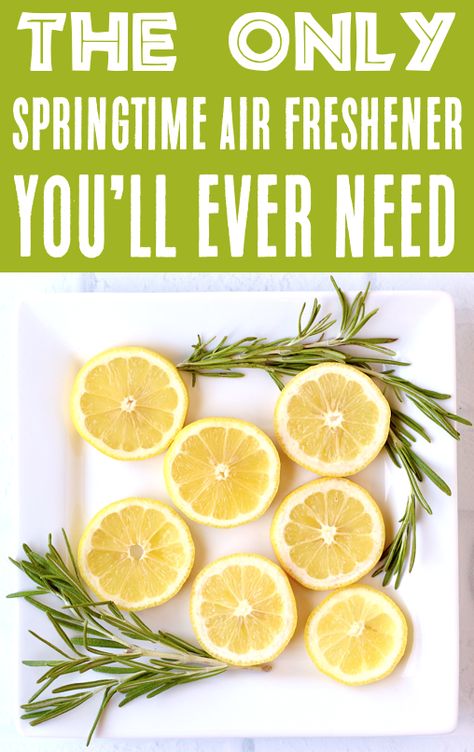 Stovetop Potpourri Recipes Herbs To Make Your House Smell Good, Lemon Rosemary Potpourri, Lemon Potpourri Recipes, Make House Smell Good All The Time Stove, Potpourri Recipes Spring, Lemon And Rosemary House Smells, Lemon Stovetop Potpourri, Lemon Potpourri Stove, Spring Smells For House