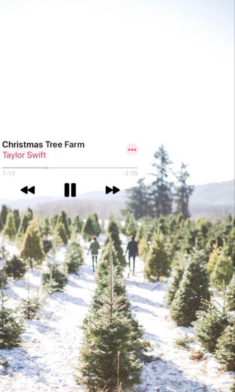 Christmas Tree Farm Aesthetic Taylor Swift, Christmas Tree Farm Wallpaper Taylor Swift, Christmas Tree Farm Taylor Swift Lyrics, Taylor Swift Christmas Wallpaper Iphone, Taylor Swift Christmas Wallpaper Lyrics, Taylor Swift Music Wallpaper, Taylor Swift Winter Aesthetic, Holiday Homescreen, Christmas Music Wallpaper