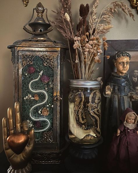 Oddities Decor, Dark Home Decor, Decorating Home, Goth Home, Goth Home Decor, Dark Home, Goth Decor, Dark Interiors, Home Decorating Ideas