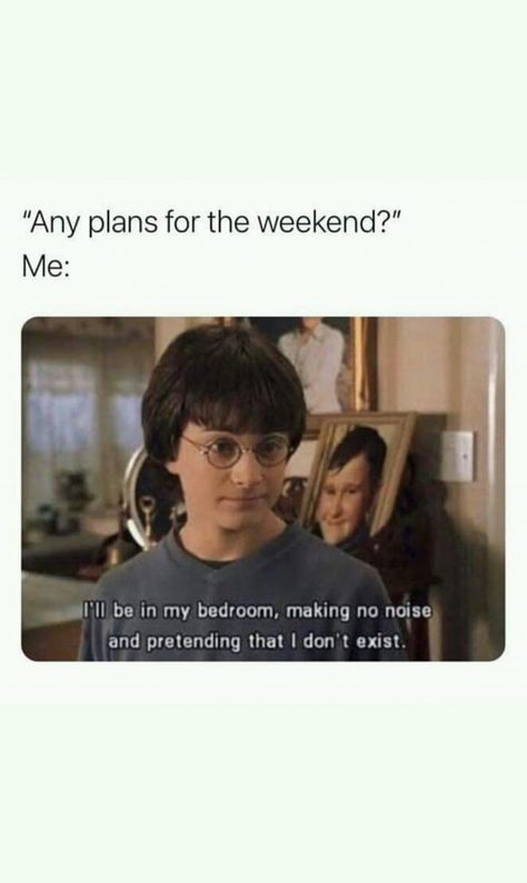 Intp Personality Traits, Infp Personality Traits, Introvert Jokes, Potter Memes Funny, Isfj Personality, Istp Personality, Funny Hp Memes Hilarious, Harry Potter Funny Memes Jokes Hogwarts, Harry And Ginny Memes