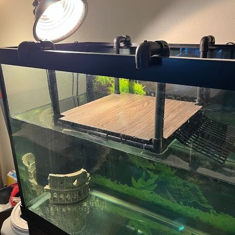 Water Turtle Tank Ideas, Aquatic Turtle Tank Ideas, Turtle Tank Setup Ideas, Turtle Basking Area, Turtle Tank Ideas, Aquatic Turtle Tank, Turtle Tank Setup, Turtle Enclosure, Turtle Dock