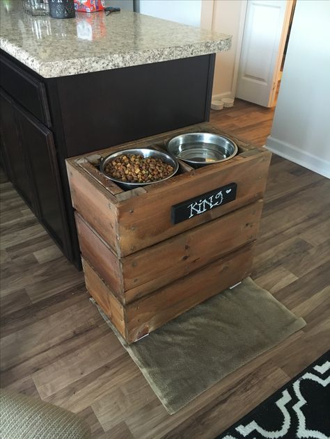 Elevated dog bowls for my Great Dane Great Dane Water Bowl Ideas, Great Dane Dog House, Great Dane Bed, Cute Dog Costumes, Apartment Dogs, Elevated Dog Bowls, Dane Puppies, The Great Dane, Dog Bowl Stand