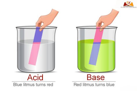 Acids Bases And Salts, Litmus Paper, Acids And Bases, Chemistry Study Guide, Chemistry Basics, Study Chemistry, Chemistry Education, Nurse Study Notes, Teaching Chemistry