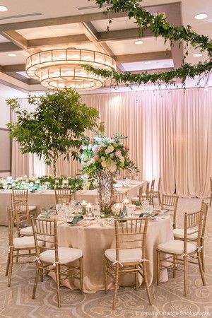 Winter Park Wedding Venue | The Alfond Inn Wedding Reception Ceiling, Reception Ceiling, Lighted Garland, Enchanted Garden Wedding, Dream Wedding Reception, Romantic Wedding Receptions, Garden Wedding Reception, Wedding Backdrop Design, Wedding Lighting