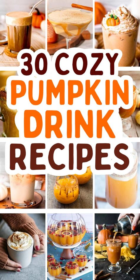 30 cozy homemade fall pumpkin drink recipes to make at home Pumpkin Spice Drink Recipe, Pumpkin Pie Punch Recipe, Pumpkin Beverages, Warm Pumpkin Drinks, Pumpkin Spice Milk Tea, Homemade Fall Drinks, Pumpkin Recipes Drinks, Fall Food And Drinks, Pumpkin Spice Cold Brew Recipe