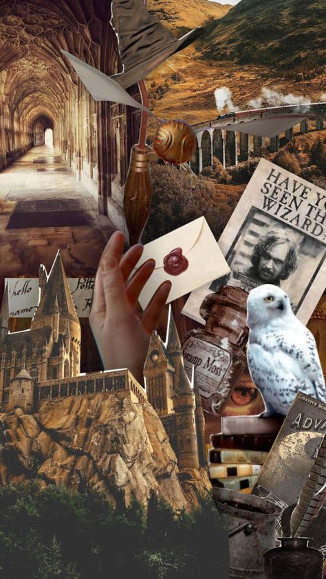 why do i miss my harry potter era 😭😭 #harrypotter #hogwarts #aesthetic #moodboard #vintage #hpaesthetic #collage #aesthetics Hogwarts Aesthetic, Aesthetic Moodboard, Harry Potter Wallpaper, Harry Potter Aesthetic, Lost City, Aesthetic Collage, Hunger Games, Hogwarts, Mood Board