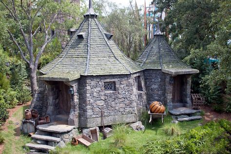 Hagrid's hut Inside Castles, Hagrids Hut, Harry Potter Room Decor, Festa Harry Potter, What House, Creation Art, Hogwarts Castle, Hogwarts Aesthetic, Islands Of Adventure