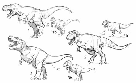 T Rex Reference, Reptile Sketch, Dinosaur Suit, Dino Drawing, Ar App, Dinosaur Sketch, Dinosaur Drawing, Dinosaur Illustration, Ancient Animals