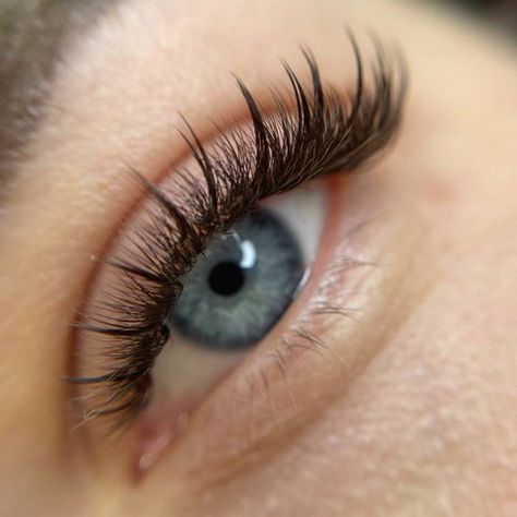 Eyelashes Styles Extensions, Whispy Lashes Eyelashes, Wispy Lashes Extensions, Wispy Volume Lash Extensions, Eyelash Growth Cycle, Wispy Eyelash Extensions, Lashes Tips, Wispy Lash Extensions, Anime Lashes