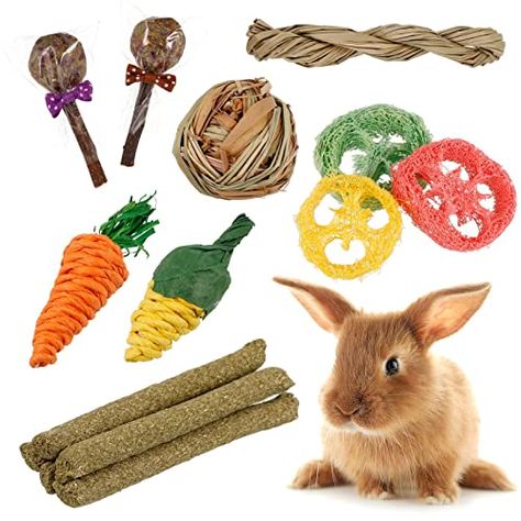 Toys For Rabbits, Rabbit Chew Toys, Chinchilla Toys, Hamster Toys, Bunny Treats, Guinea Pig Toys, Bunny House, Rabbit Hutches, House Rabbit