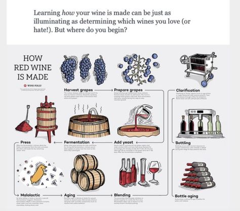 Wine Infographic, Best Sangria Recipe, White Wine Sangria Recipe, Types Of Red Wine, Red Wine Sangria, White Wine Sangria, Wine Making Process, Wine Variety, Wine Folly