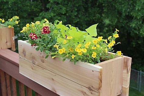 Diy Railing, Deck Flowers, Deck Railing Planters, Whiskey Barrel Planter, Plastic Bottle Planter, Diy Cement Planters, Wheelbarrow Planter, Build A Deck, Deck Planters