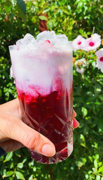 Rose Water Drink, Zoo Images, Hibiscus Iced Tea, Organic Meals, Megan Mitchell, Dried Hibiscus Flowers, Orange Blossom Honey, Delicious Drink Recipes, Fancy Drinks