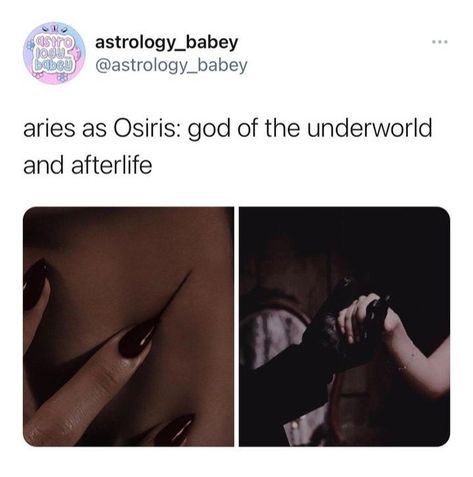 Aquarius Male, Aries Female, Aries Mood, Aries Vibes, Jasmine Aesthetic, Aries Energy, Zodiac Aesthetic, Aries Women, Aries Aesthetic