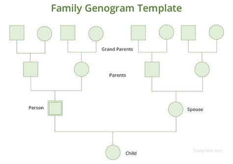 Genogram Example, Family Genogram, Family Tree Diagram, Genogram Template, Free Family Tree Template, Family Tree Maker, Family Tree Template, Tree Templates, Family Systems