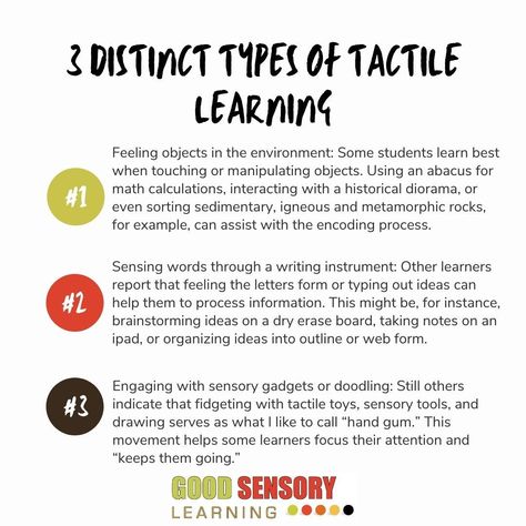 Virtually everyone learns through the sense of touch, but there is a vast continuum with some learners reporting the tactile modality to be somewhat distracting while others find that it serves a vital role.In fact, over the past 20 years as a learning specialist and educational therapist, I have found that there are three distinct types of tactile learning that should be considered. Tactile Learning Study Tips, Diverse Learners Literacy Needs, Tactile Defensiveness, Self Regulated Learning Strategies, Learning Specialist, Diverse Learners, Multisensory Teaching, Dyslexic Students, Multi Sensory Learning