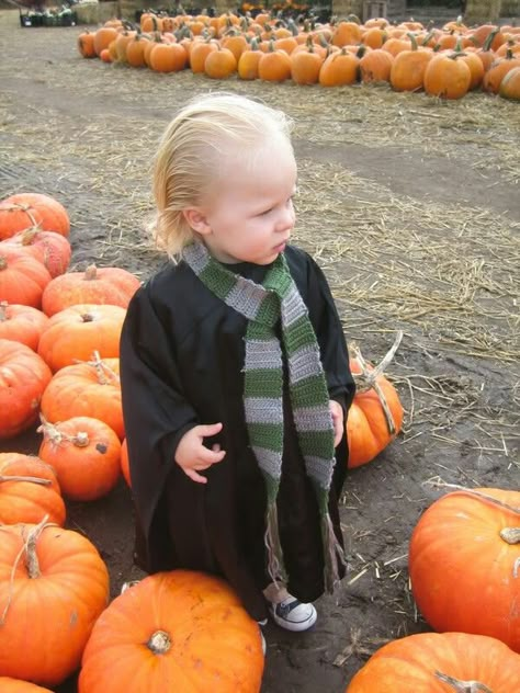 Child Draco Malfoy Costume Malfoy Costume, Draco Malfoy Costume, Draco Malfoy, Funny Kids, Harry Potter, Entertainment, Funny