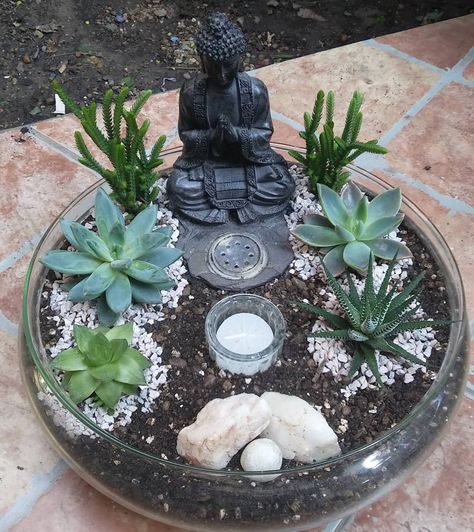 Vida y belleza para regalarsuculentas jardineria plantas terrario fairygarden zen souvenir regalosori... Goodvibes Only, Buddha Garden Ideas, Indoor Zen Garden, Succulent Photography, Miniature Zen Garden, Diy Succulent Terrarium, Buddha Garden, Zen Garden Design, Succulent Garden Design