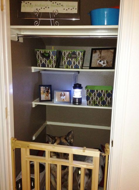 dog room closet ideas #dogroomclosetideas Closet To Dog Space, Making A Closet, Dog Closet, Make A Closet, Dog Bedroom, Puppy Room, Pet Area, Dog Room, Best Puppies