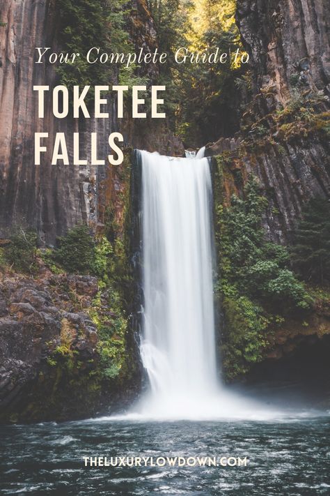 Are you planning a trip to Toketee Falls in Oregon? We've written a guide on our expereince there and what you can expect. Everything from what time you should get there for the best pictures to what camera settings to use. Come take a look! #toketeefalls #oregonwaterfalls #oregonhikes #bestwaterfallhikes #toketeefallshike #umpquanationalforest #umpquaforest Toketee Falls, Grants Pass Oregon, Oregon Trip, Oregon Hikes, Oregon Waterfalls, Grants Pass, Waterfall Hikes, Photography Series, Plan A Trip