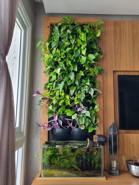 Pot Pond, Modern Garden Patio, Paludarium Ideas, Cool Fish Tank Decorations, Water Lettuce, Aquarium Room, Pothos Vine, Greenhouse Conservatory, Wall Aquarium