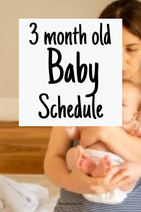 Get the guide to the 3 month old schedule for your baby! Welcoming a new baby into your life brings a multitude of joys and challenges, particularly when it comes to establishing a routine. When babies are around 3 months old, they start to develop more predictable patterns in their daily lives. While this may […] 2 Month Old Schedule, 7 Month Old Schedule, 3 Month Old Sleep, Three Month Baby, Three Month Old Baby, 2 Month Old Baby, Baby Wise, 9 Month Old Baby, Baby Routine