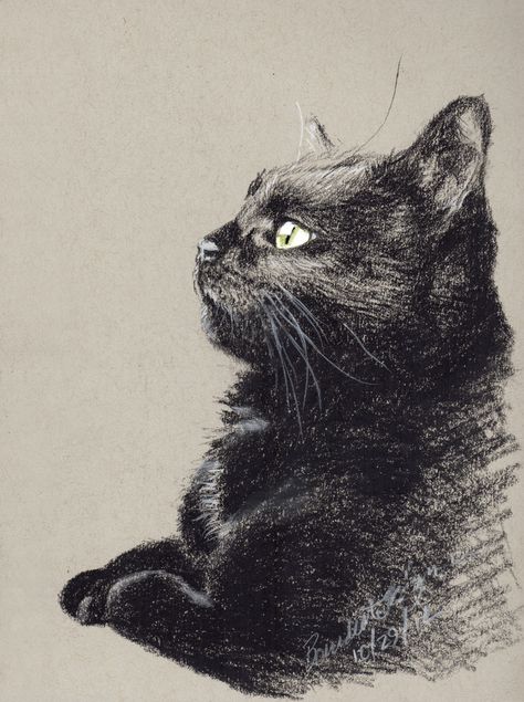 This New Member print is a signed digital print of my charcoal sketch “Bella Birdwatching” made in archival inks on Epson Velvet Art Paper. This print is 5″ x 7″ and matted to fit an 8″… Cat Sketches, Black Cat Drawing, Black Kitties, I Love Black, Daily Sketch, Art Charcoal, Drawing Animals, Cat Sketch, Charcoal Sketch