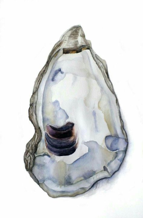 Seashell Painting, Watercolor Paintings For Beginners, Watercolor Ocean, Custom Watercolor, Custom Portrait, Shell Art, Coastal Art, Oyster Shell, Canvas Paper