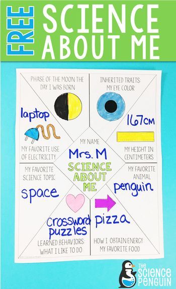 Science About Me! First week activity for 4th and 5th grade science and a FREE and useful first idea for your planning this summer. Get this and you have one thing done! Science About Me, Sixth Grade Science, Science Penguin, First Week Activities, Science Board, Fourth Grade Science, Middle School Science Classroom, Science Room, Science Classroom Decorations