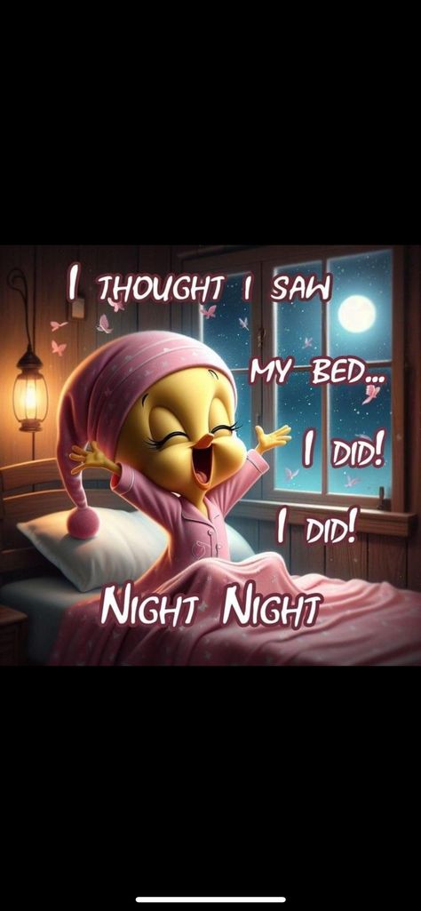 Good Night Encouragement, You Awake Funny, Good Night Funny Hilarious, Good Night Funny Quotes, Goodnight Humor, Funny Good Night Images Hilarious, Good Night Humor, Funny Good Night Pictures, Tweedy Bird