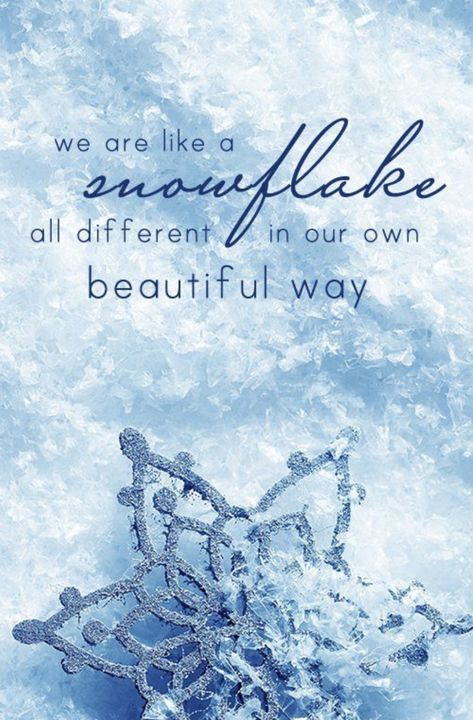 Snowflake Quote, Snow Quotes, Season Quotes, Weather Quotes, Winter Words, Winter Quotes, Winter Wonderland Christmas, Winter Photos, Cute Romantic Quotes