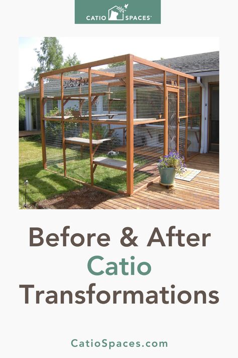 Before and After Catio Transformations | Every cat is unique and so is every home, garden and landscape. If you're considering a catio for your cat to enjoy the enrichment of nature, there are several factors to be aware of when choosing a location. Consider how much space is available, sunglight, stimulating views and how your cat will access a catio. Here are six catio locations Catio Spaces transformed into safe, cat-friendly spaces. Outdoor Cat Play Area, Inside Catio Ideas, Catios Diy Large, What To Put Inside Catio, Cat Friendly Patio, Outdoor Catio Cat, Free Catio Blueprints, Catios Diy How To Build, Catio Plans Diy