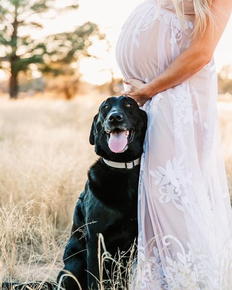 Fall Maternity Pictures With Dog, Maternity With Dog Photography, Maternity Pictures With Dog And Husband, Maternity Pictures Dog, Maternity Photography Poses With Dogs, Maternity Photography With Pets, Outdoor Maternity Photos With Dog, Maternity Poses With Dog, Maternity Session With Dog