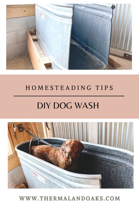 DIY Dog Wash  — Thermaland Oaks Doghouse Ideas, Dog Washing Station Outdoor, Dog Showers, Dog Grooming Station, Dog Bathing Station, Dog Tub, Diy Dog Wash, Grooming Station, Mobile Grooming