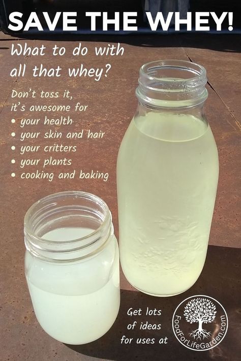 2 Jars filled with whey from making cheese. The topic, what to do with whey and some categories for uses of whey are listed. What To Do With Whey, Uses For Whey, Whey Recipes, Homemade Yogurt Recipes, Milk Processing, Cheese Making Recipes, Kefir Recipes, Cooking Substitutions, Greek Yogurt Recipes