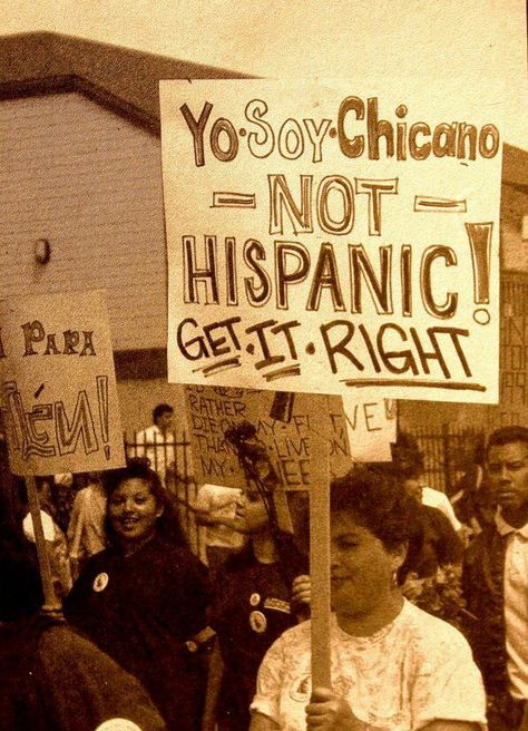 While I understand the issues some of us have with the term "Hispanic" (and even "Latino") I personally don't have a problem w/ either anymore (I was against "Hispanic before) and instead embrace BOTH terms as a unifying banner that encompasses ALL Spanish-speaking mixed race peoples of the Americas… Remember that 'Chicanos' are but a rama off of the Mexican branch of the Raza Tree split into smaller ramas such as: Tejano, Californio, Nuevo Mexicano, etc… But the Tree is ALL Raza together… Viva! Chicano Quote, Chicano Studies, Mexican American Culture, Latinas Quotes, Chicano Love, Latino Art, Mexican Culture Art, Chicana Style, Cholo Art