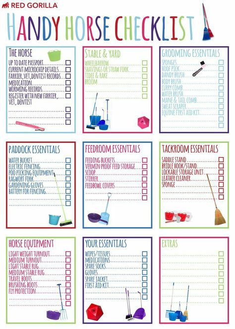 First Horse Checklist, Horse Needs, Horse Checklist, Student Checklist, Feed Room, Diy Horse Barn, Horse Barn Ideas Stables, Horse Lessons, Ranch Ideas