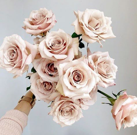 Antique Rose Bouquet, Quicksand Rose, Flower Library, Beige Flowers, Floral Creations, Flower Types, Blush Flowers, Flower Inspiration, Floral Display