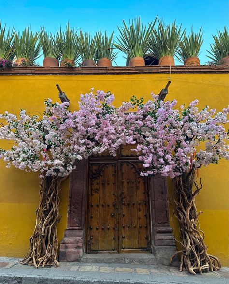 Mexican Doors, Indian House Exterior Design, Spanish Revival Home, Mexico House, Courtyard Entry, Hacienda Style Homes, Garden Mural, Small Balcony Decor, Mexican Home Decor