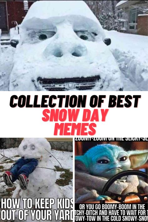 5 SHARES Snow Day Meme, Christmas Memes, Mom Memes, Really Cute Dogs, Movie Memes, Memes Hilarious, Random Memes, Holiday Movie, Hallmark Channel