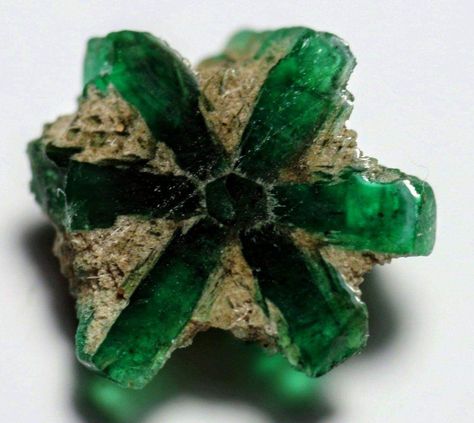 Trapiche Emerald, Rare Crystals, Rocks And Fossils, Geology Rocks, Pretty Rocks, Cool Rocks, Rare Crystal, Crystal Magic, Minerals And Gemstones