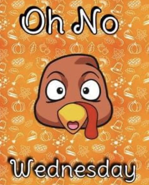 Wednesday Thanksgiving Eve, Thanksgiving Wednesday, Funny Thanksgiving Images, Turkey Jokes, Thanksgiving Sayings, Hello Funny, Happy Thanksgiving Funny, Happy Wednesday Images, Turkey Dressing