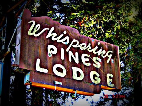 Whispering Pines Lodge Taz Amnesty, Strange Trails, Motel Signs, Neon Vintage, Cabin Decorating, Motor Lodge, Log Cabin Rustic, Whispering Pines, Lord Huron